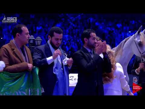 1 st Place N.1 LR ERA DE EXCALIBUR - Paris 2017 - Yearling Fillies Championship (Class CM7)