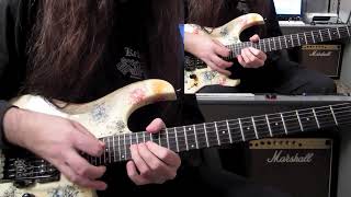 Guitar videos - DANIELE LIVERANI - Survive