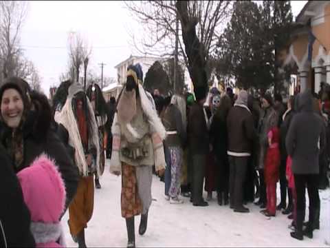 MASCATI COARNELE CAPREI BAIETII BUNI DIN MONZA ITALIA 20