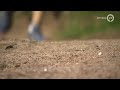 Marikenloop 19 mei 2019