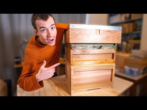 What is a beehive? - putting together a new beehive