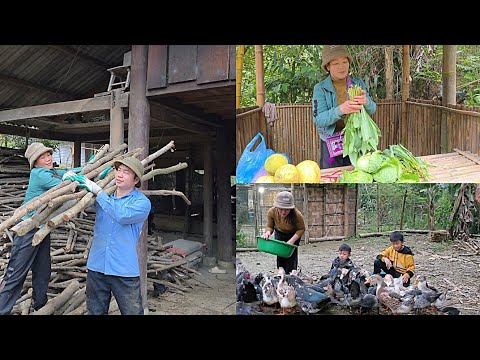Harvesting vegetables to sell and helping her ex-husband clean his new house. DANG THI DU 