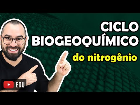 Ciclo do Nitrogênio [Biogeoquímico]- Aula 08 - Módulo VIII: Ecologia | Prof. Gui