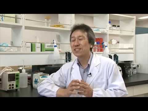 麻布大学 研究室紹介10_村山 洋 准教授