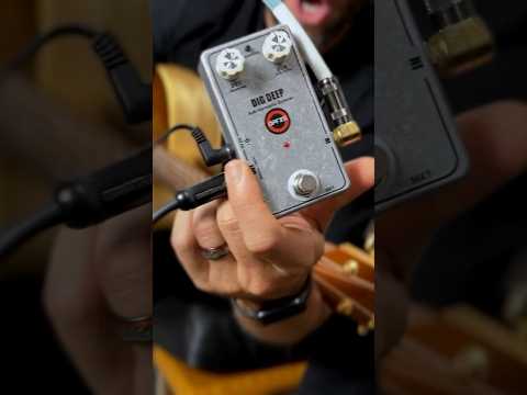 Acoustic Guitar with Octave Pedal❤️ #acoustic #guitar #octave #musicians #livemusic #acousticguitar