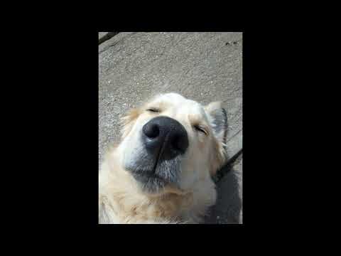 SMOOSSY -  BEGINNER Mix #5