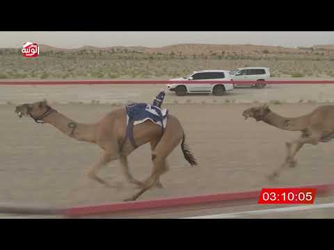  ش 4 (ناصي) لـ سهيل سالم بن سهيل الخييلي 6:48 ، شارة الشيخ طحنون 2026/8/23 لقايا الخزنة