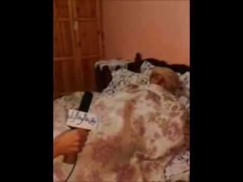 الحاج مرقو و العهدة الرابعة من فراش النوم
