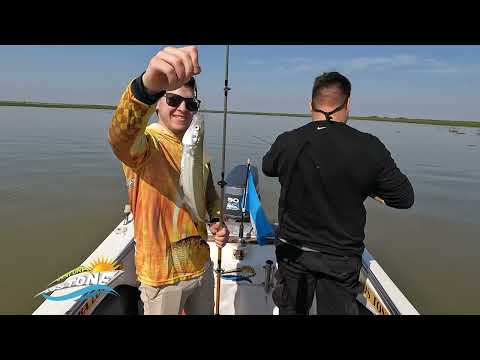 2022 09 01 PESCA EN SALADERO CABAL CON CEBOLLA  AVENTURAS LOS TONE TV