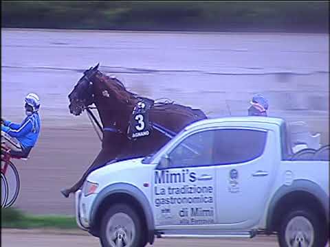 Trotto 13/12/2019 - 3ª corsa