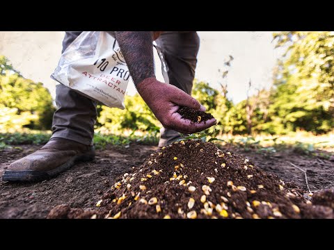 110 Proof Deer Attractant: Product Video | Buck Bourbon 🥃