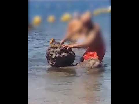 #Castellammare prende a martellate ​uno scoglio per pescare datteri di #mare