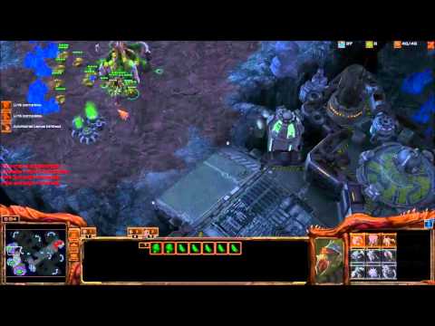 Elders React to Coaching from Catz - Hour 3