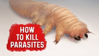 How to Kill Parasites