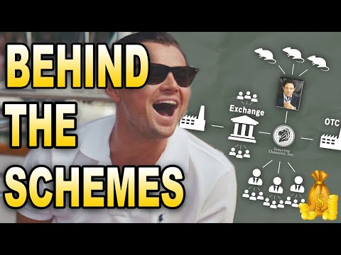 HOW THE WOLF OF WALL STREET SCAM ACTUALLY WORKED   HOW MONEY WORKS