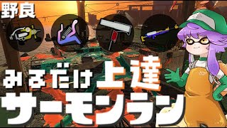 【野良】見るだけ上達サモラン！塗り強めシェケナダム🐋カンスト291回【スプラトゥーン3/サーモンランNW】
