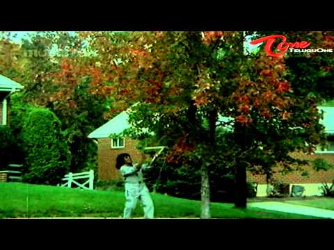 Padamati Sandhya Ragam Songs - Life Is - Vijaya Shanthi - Thomas Jane