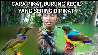 Download lagu TRIK PIKAT ‼️ burungnya susah turun ??Gunakan cara ini dijamin burung lengket sama pulut mp3 Download lagu TRIK PIKAT ‼️ burungnya susah turun ??Gunakan cara ini dijamin burung lengket sama pulut mp3