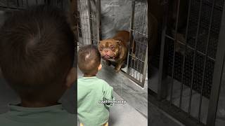 Download lagu a family adopts a dog mp3 Download lagu a family adopts a dog mp3