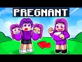 Ruby is PREGNANT With TWINS in Roblox!