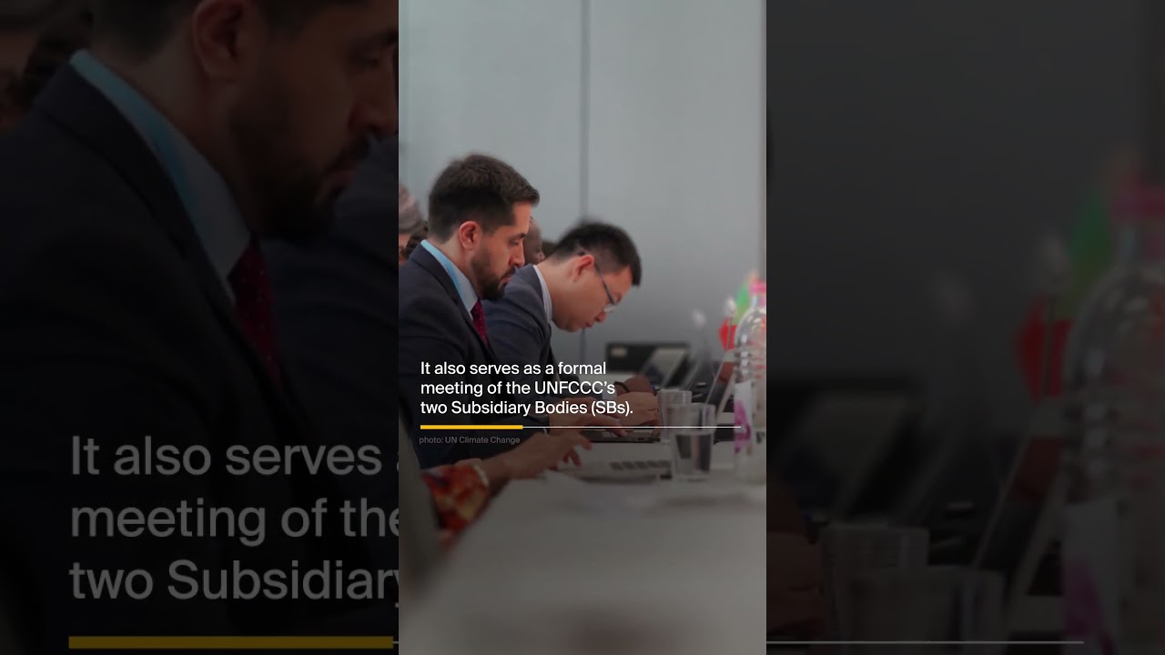 What is the Bonn Climate Change Conference?