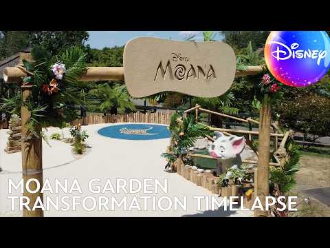 Moana Garden Transformation | Full Timelapse Build