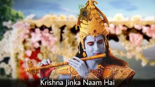 Krishna Jinka Naam Hai  Shri Krishna Bhajan  Vighn