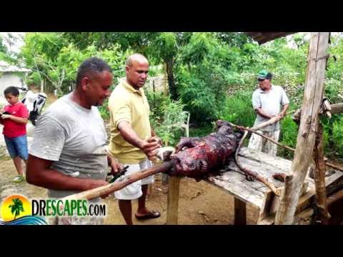 Cabrera Dominican Republic Pig Roast Party - Expat Lifestyle