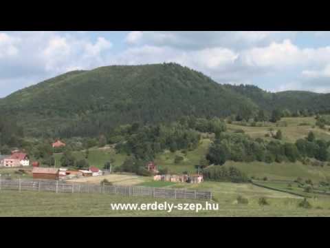 Tamás Gábor : Hargitai Fecskemadár - Hargita, Székelyvarság, Zeteváralja, Fenyéd