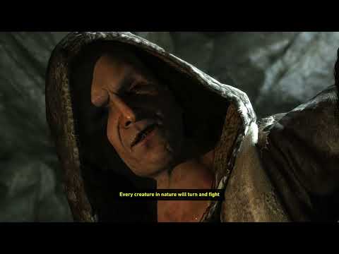 Tomb Raider : Cross the Bridge, Rescue the Captured Endurance Crew, No One Left Behind Walkthrough