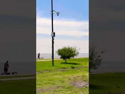 Es una mañana muy calurosa en la costa de La Lucila en el partido de #vicentelopez #buenosaires #pba