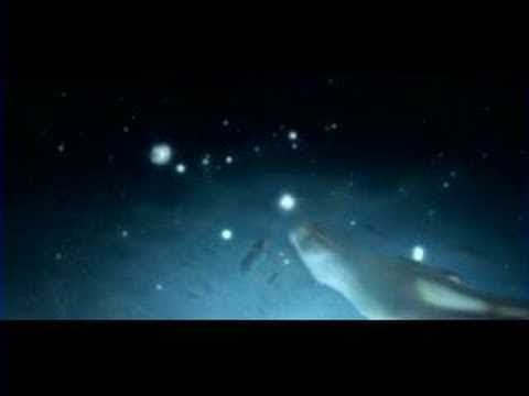 Video thumbnail for Desired Constellation