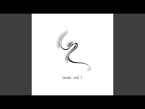Wonderings - Lunatic Soul