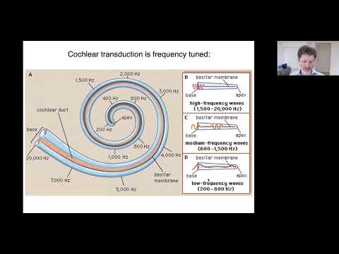 QLS Seminar - Josh McDermott - February 22