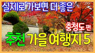 가을 추천 여행지 5곳 (충청도 편) / 단풍 여행 / 외국보다 훨씬 더 멋진 대한민국 여행지 | 10월 11월 여행지 | Travel Korea