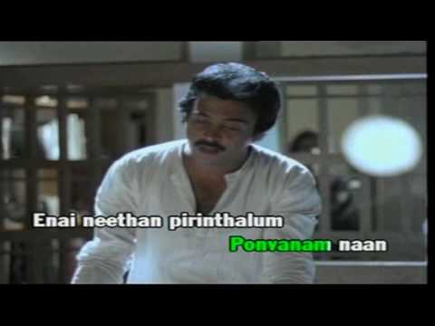 download lagu mp3 mp4 Nilave Vaa Lyrics, download lagu Nilave Vaa Lyrics gratis, unduh video klip Nilave Vaa Lyrics