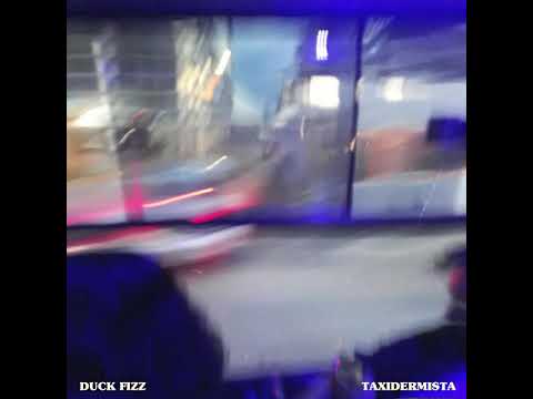 Duck Fizz - Taxidermista