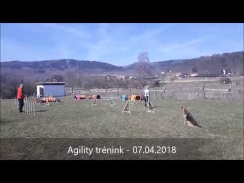 7. 4 .2018 - Trénink agility