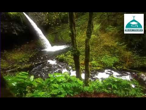 Temelji Islama (Hadis)