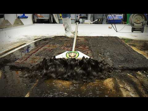 From DISGUSTING to STUNNING – You Won’t Believe The Hidden Pattern! Satisfying ASMR Carpet Cleaning.