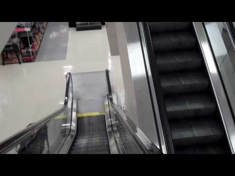 Natick: Montgomery Escalators @ Sears, Natick Collection