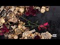 Moneybagg Yo No Chill Ft Lil Baby Rylo Rodriguez Official Audio