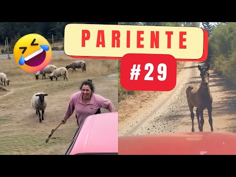 Humor chileno, fails chilenos, risas, caídas, solo pasa en Chile, Pariente #29