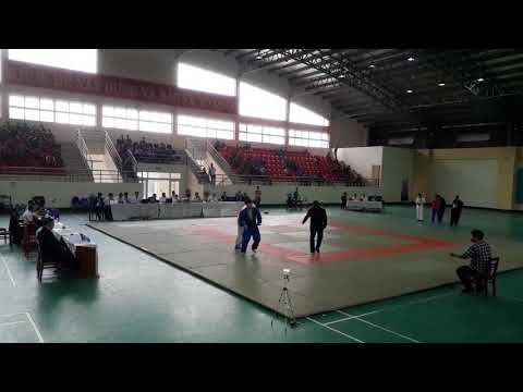 Vietnam open judo 2017 1/4 final Korea vs France -90kilos