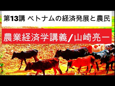 経済学科 農業経済学講義⑬ベトナムの経済発展と農民層分解／山崎亮一／東京農工大学／日英字幕付き／Eng sub