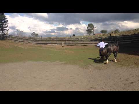 Jeito Lindo da Bela Aliança