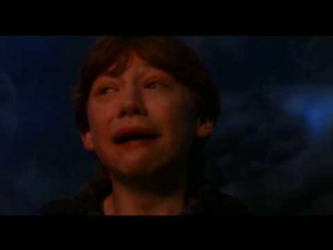 Funny Weasley Scene #44 | "Can we panic now?"