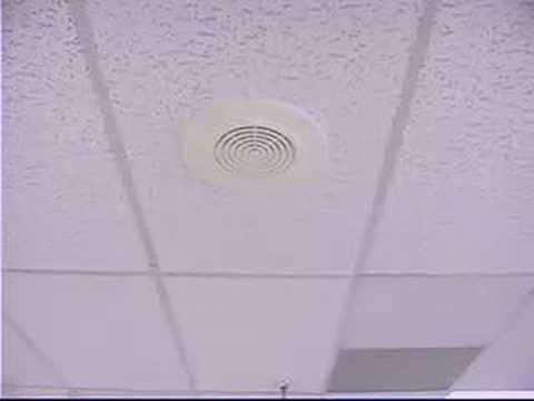 The Cooperation Corporation: Mutants on the Bounty