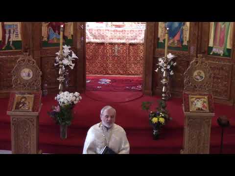 Duminica a 24-a dupa Rusalii (Invierea fiicei lui Iair)  - 7 Nov 2021