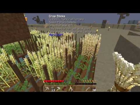 FTB Regrowth CZ - EP2 - Mandragora